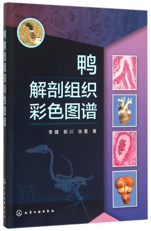 鸭解剖组织彩色图谱