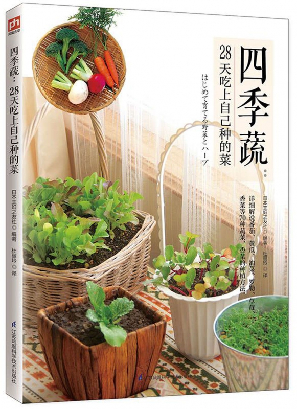 四季蔬--28天吃上自己种的菜