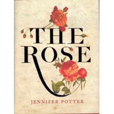 预订 The Rose