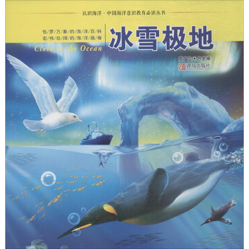 冰雪极地 幼儿图书 早教书 故事书 儿童书籍