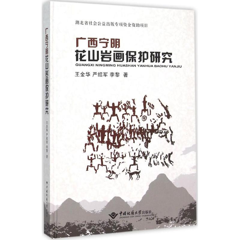 广西宁明花山岩画保护研究