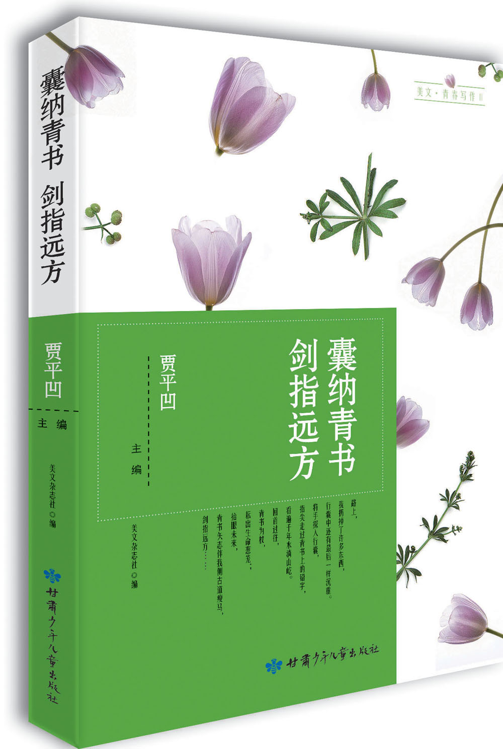 囊纳青书剑指远方