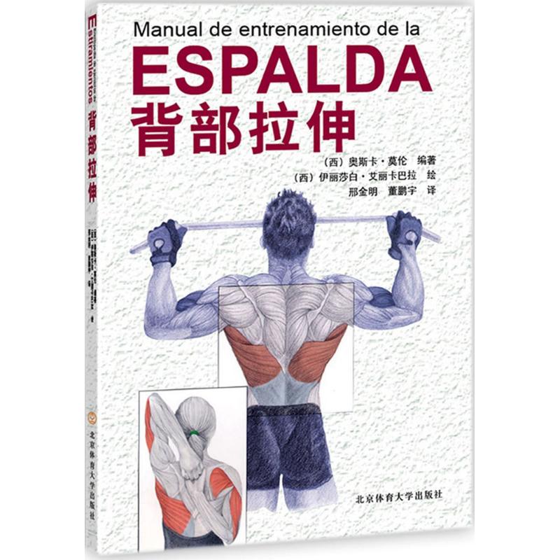 背部拉伸