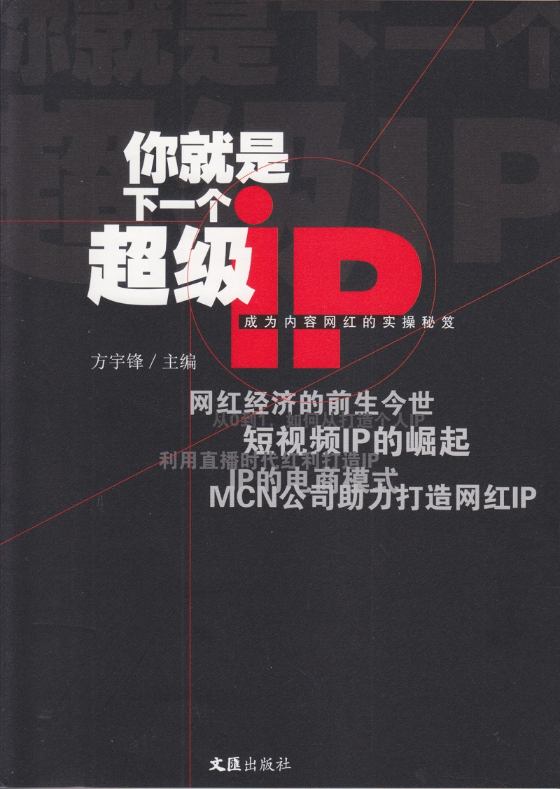 正版图书 你就是下一个超级ip 管理 市场营销类书籍 个ip