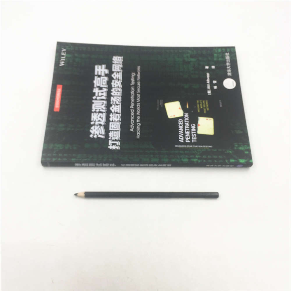 渗透测试高手 打造固若金汤的安全网络/安全技术经典译丛