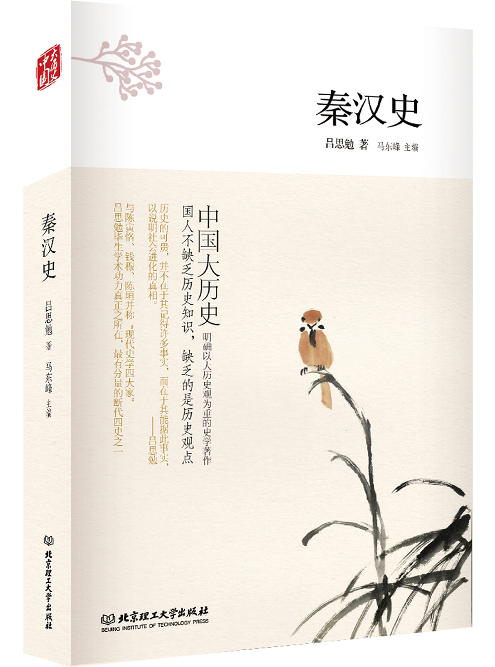 中国大历史:秦汉史(第2版)