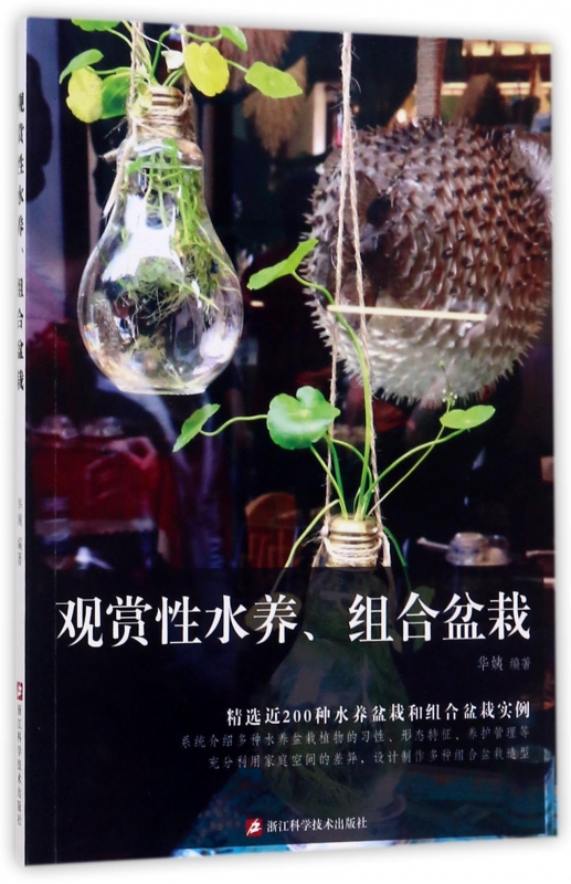 观赏性水养组合盆栽
