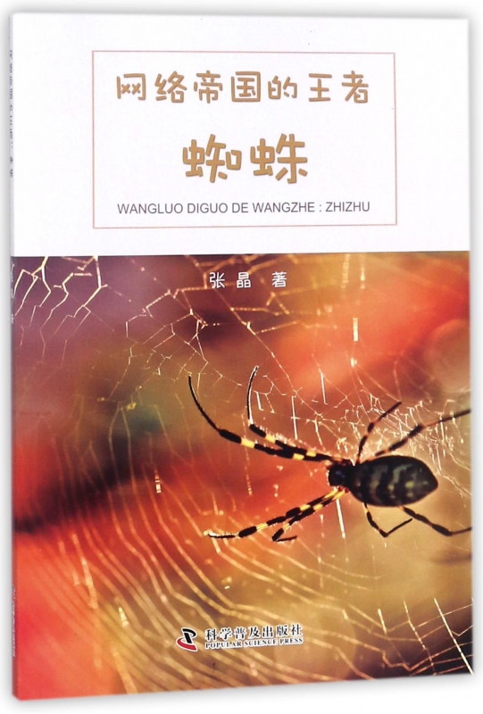 网络帝国的王者  蜘蛛