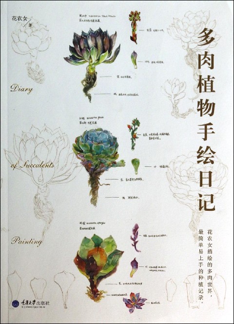 多肉植物手绘日记