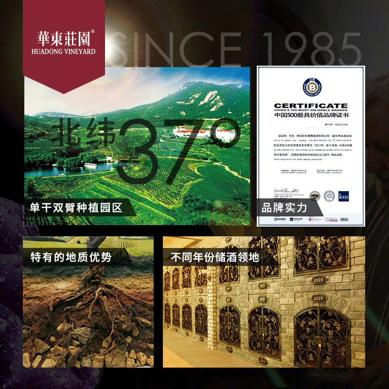 华东（HUADONG）【窖藏5】赤霞珠干红葡萄酒 橡木桶熟化宴请送礼整箱装 750ml*6瓶