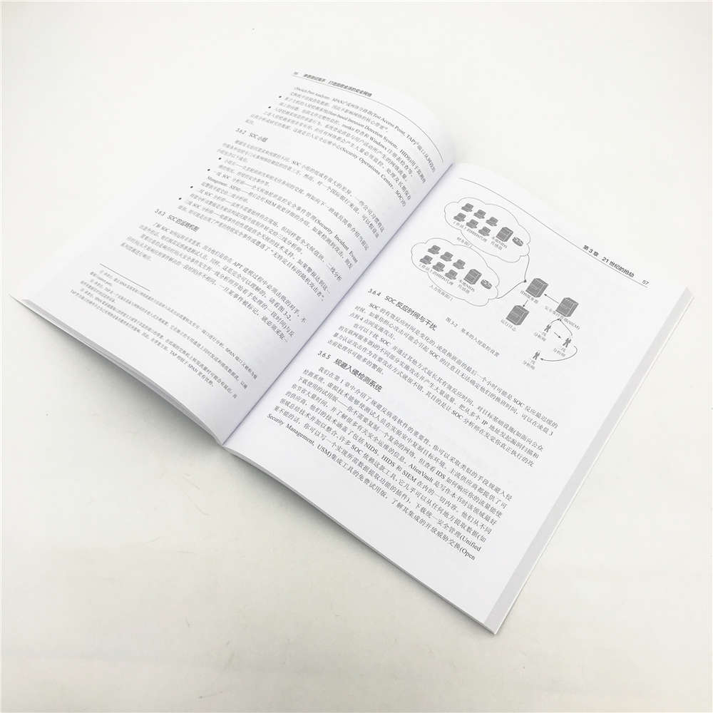 渗透测试高手 打造固若金汤的安全网络/安全技术经典译丛