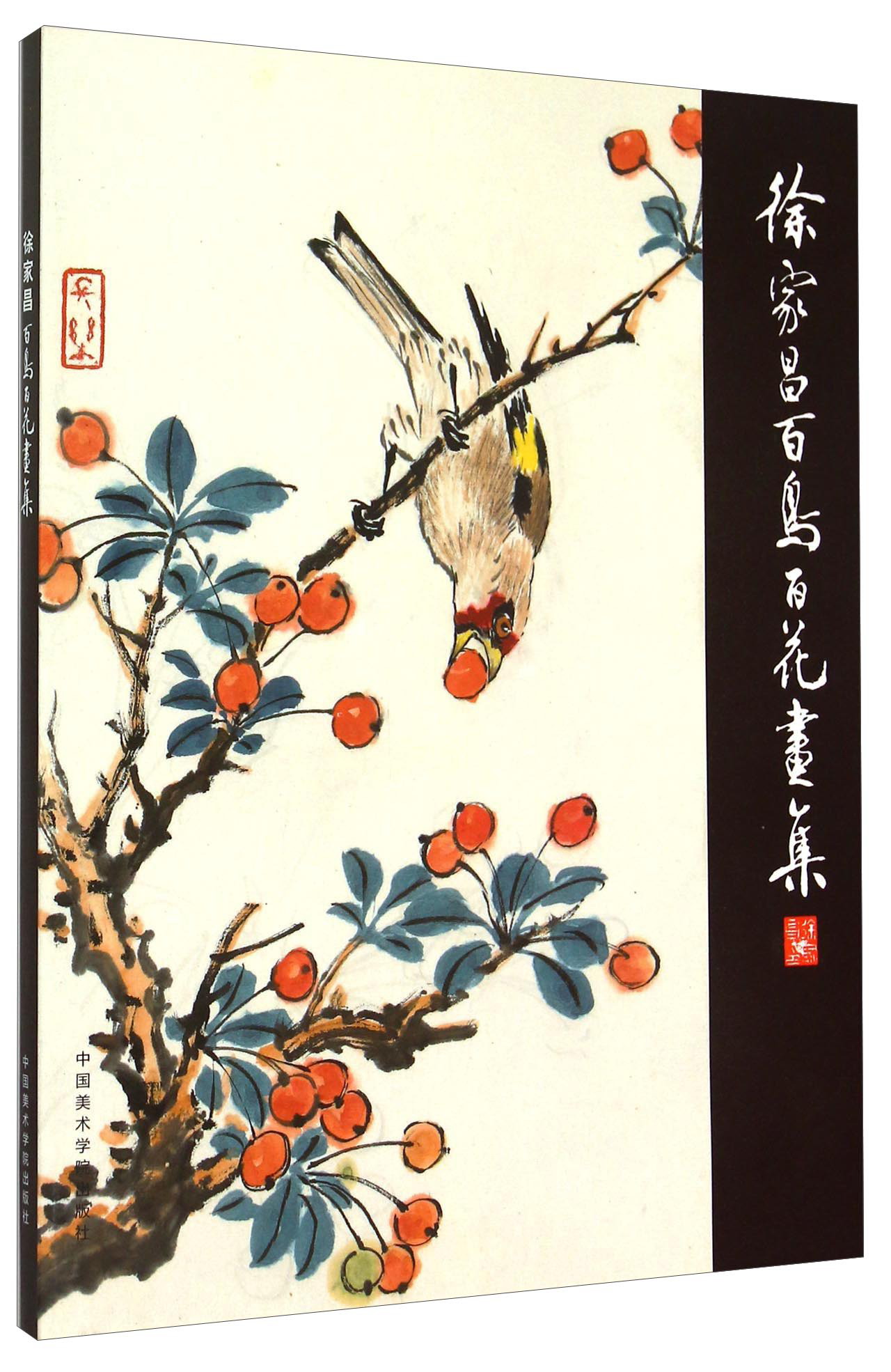 徐家昌百鸟百花画集