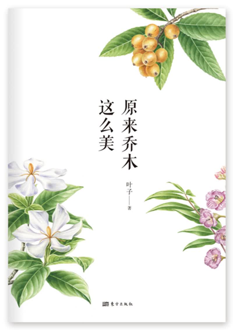 原来乔木这么美