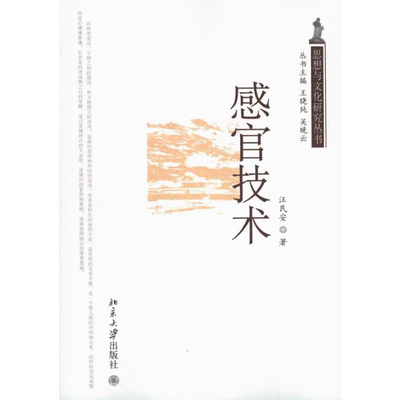 感官技术 人文科学 汪民安 著作 北京大学出版社 新华书店官网正版图书籍