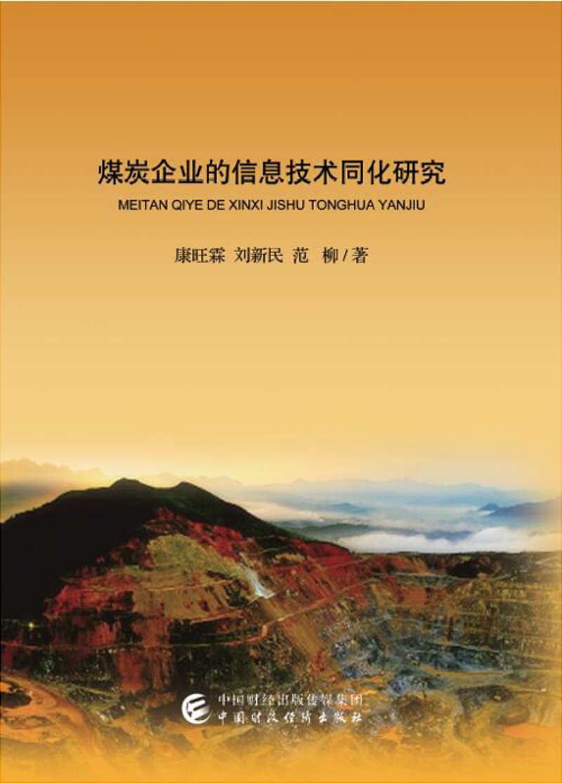 煤炭企业的信息技术同化研究