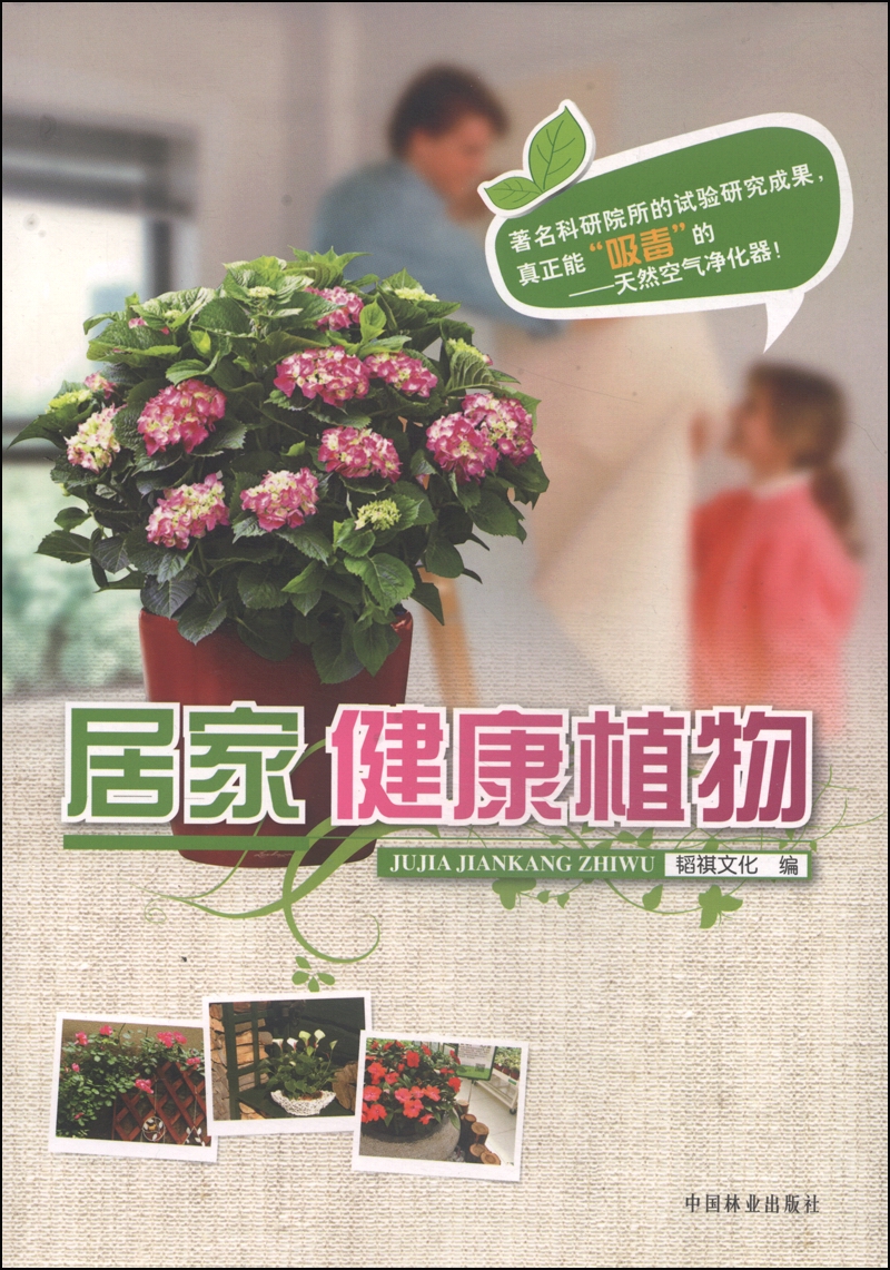 居家健康植物