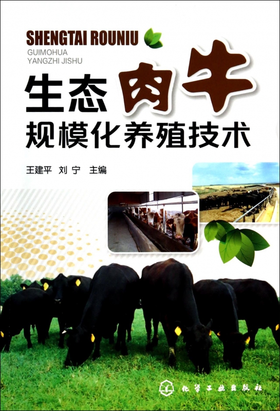 生态肉牛规模化养殖技术