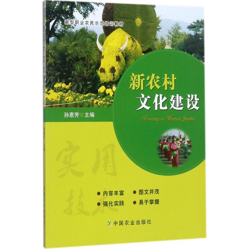 新农村文化建设