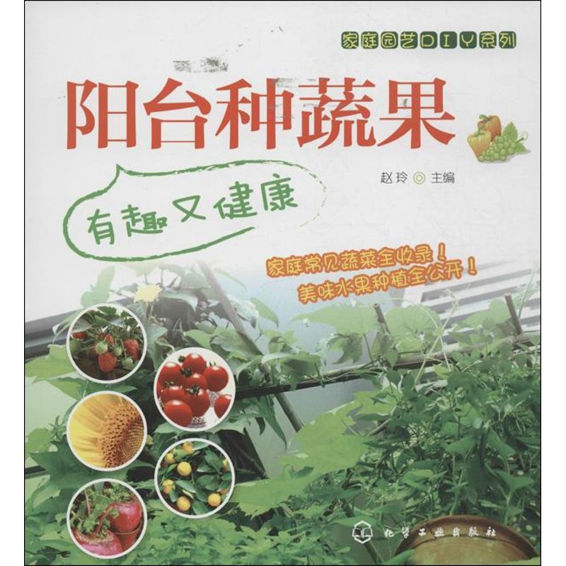 阳台种蔬果 