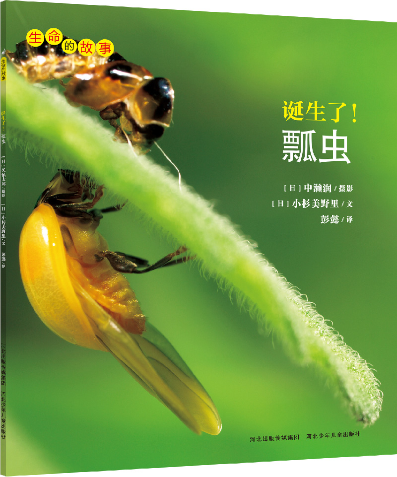 正版现货 诞生了!瓢虫9787533686642