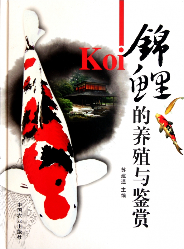 锦鲤的养殖与鉴赏(精)
