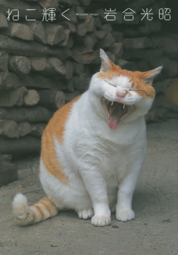 岩合光昭 2015年猫咪写真 ねこ輝く ニッポンの