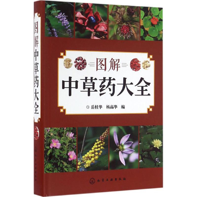 图解中草药大全