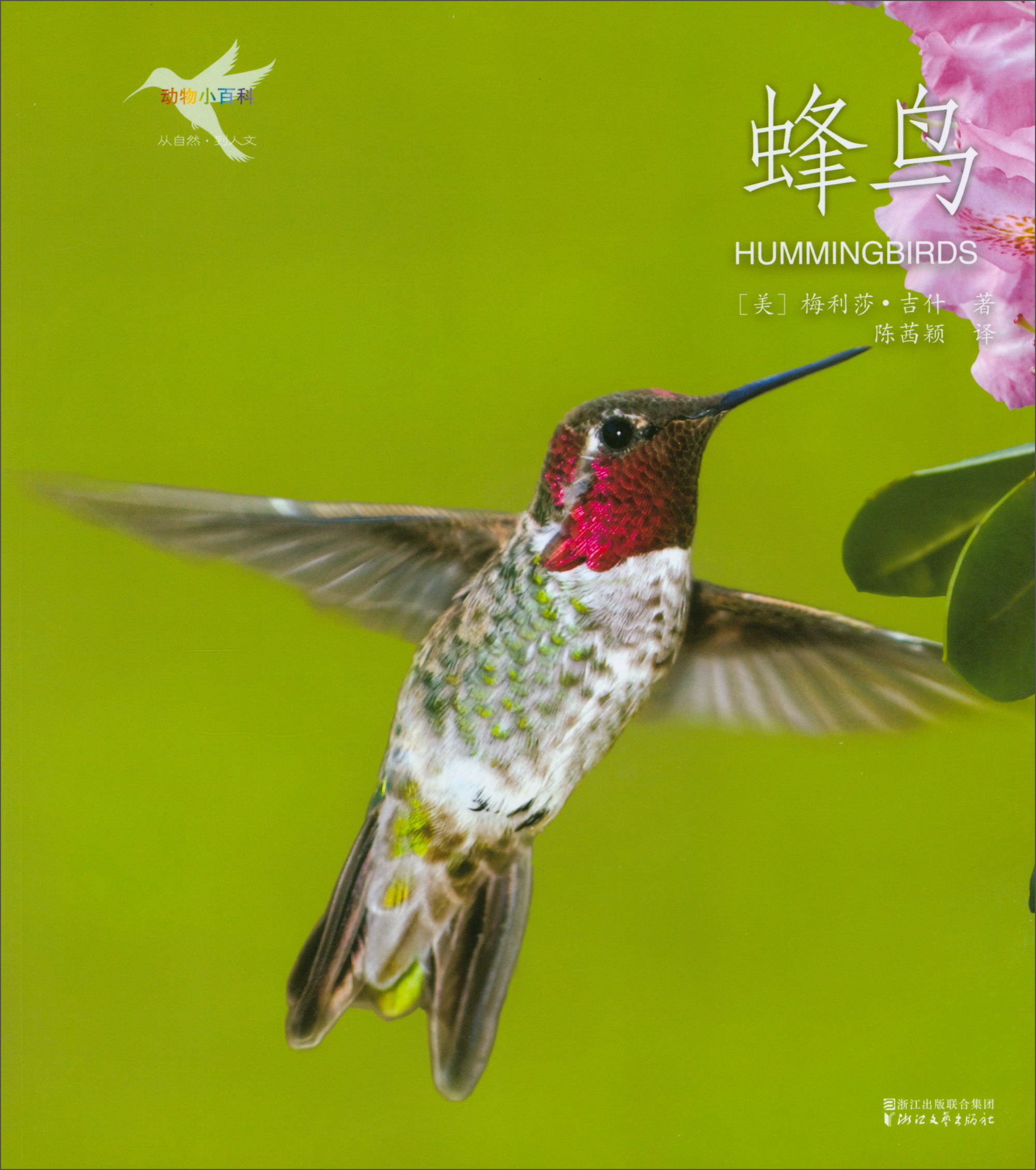 蜂鸟/动物小百科
