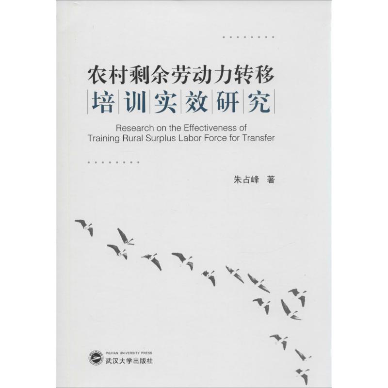 农村剩余劳动力转移培训实效研究