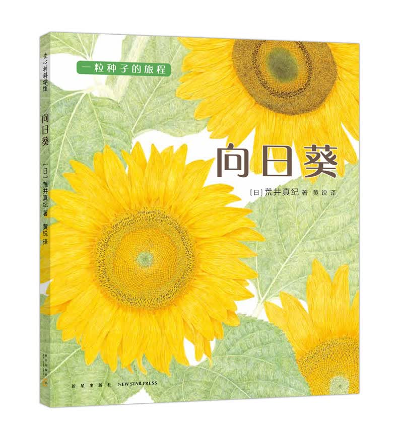 一粒种子的旅程（套装全三册：向日葵、牵牛花、蒲公英） （爱心树童书）详情图