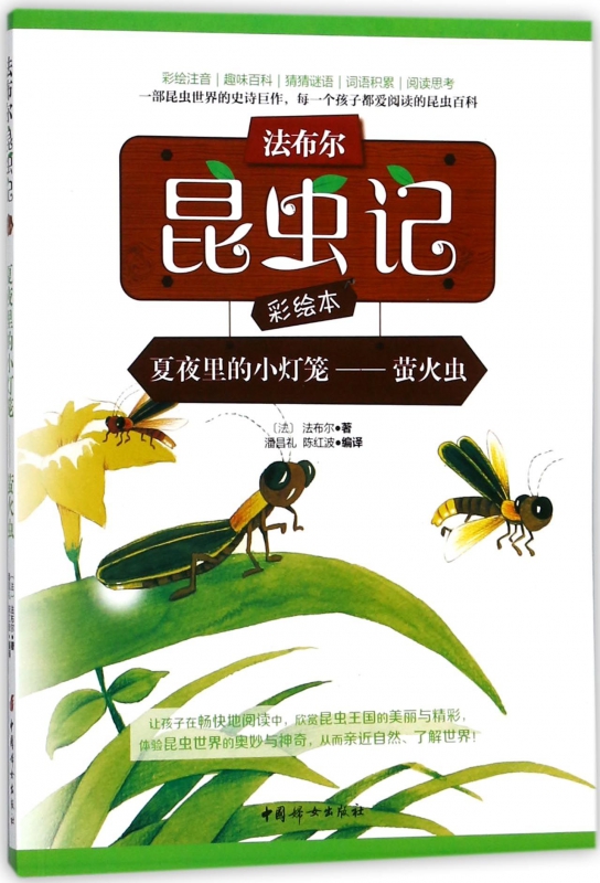 夏夜里的小灯笼--萤火虫(彩绘注音)/法布尔昆虫记彩绘本
