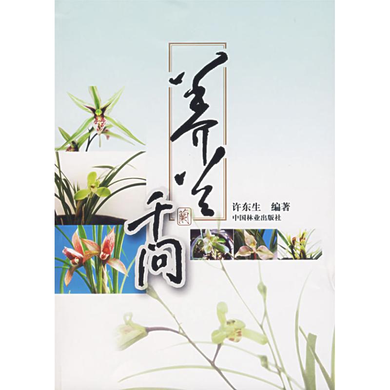 养兰千问