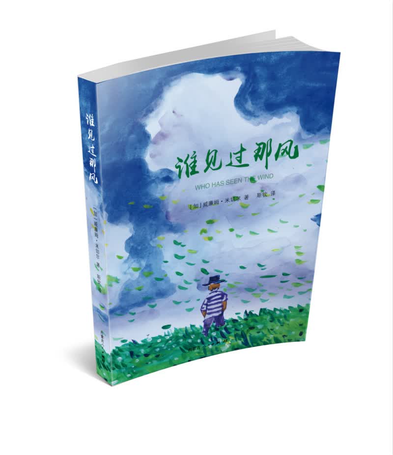 谁见过那风