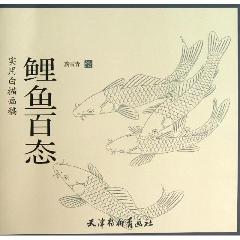 鲤鱼百态