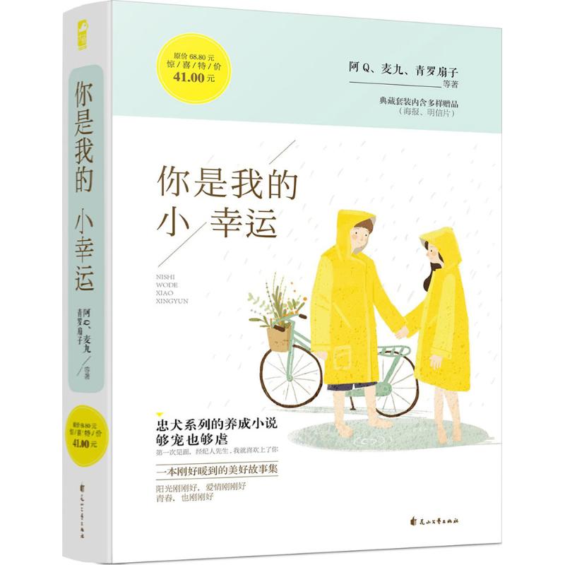 你是我的小幸运