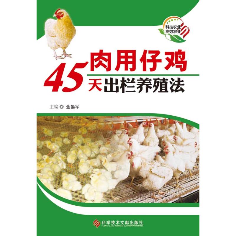 肉用仔鸡45天出栏养殖法
