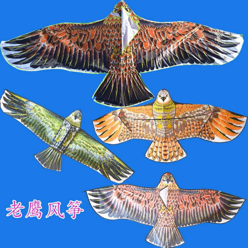 全光辰潍坊老鹰风筝儿童风筝轮线板好飞风筝五一节日礼物 乳白色