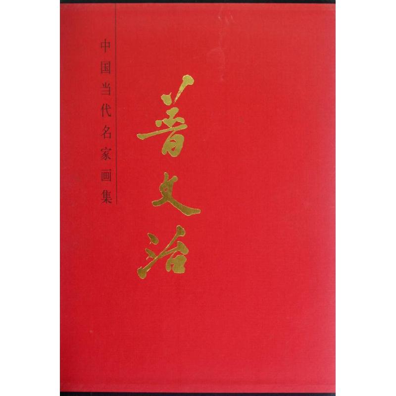 普文治(精)/中国当代名家画集