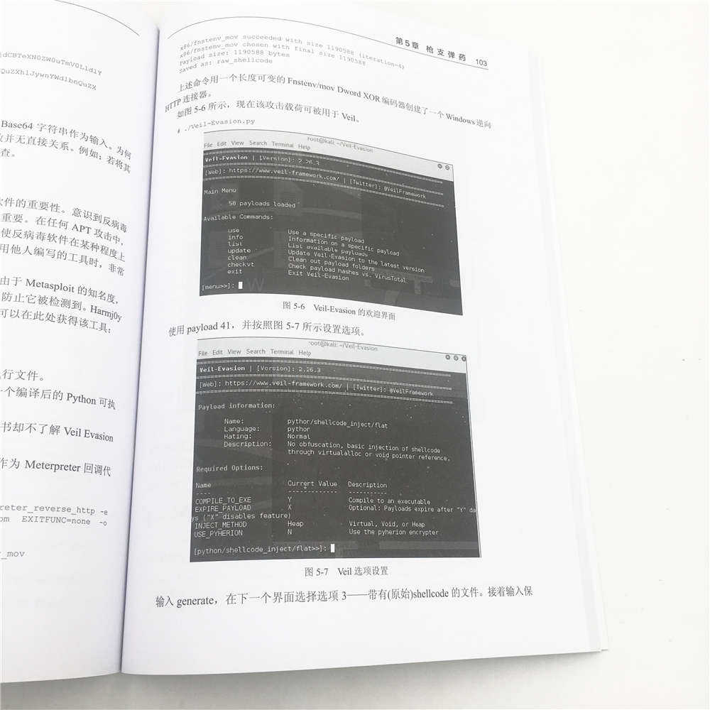渗透测试高手 打造固若金汤的安全网络/安全技术经典译丛