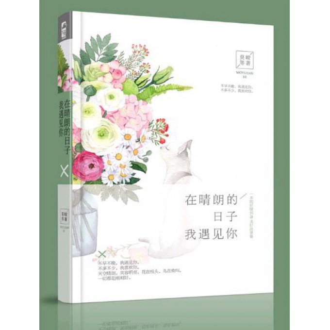 在晴朗的日子我遇见你