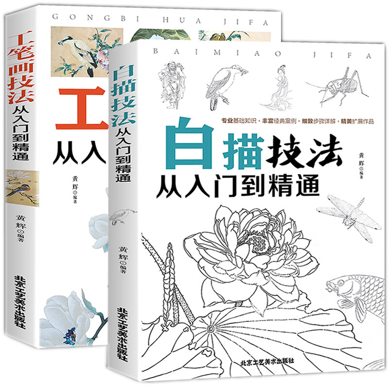 全套2册 正版白描技法从入门到精通+工笔画技法从入门到精通 写意花卉草虫美术绘画教材书籍 零基础学水墨中国画教程
