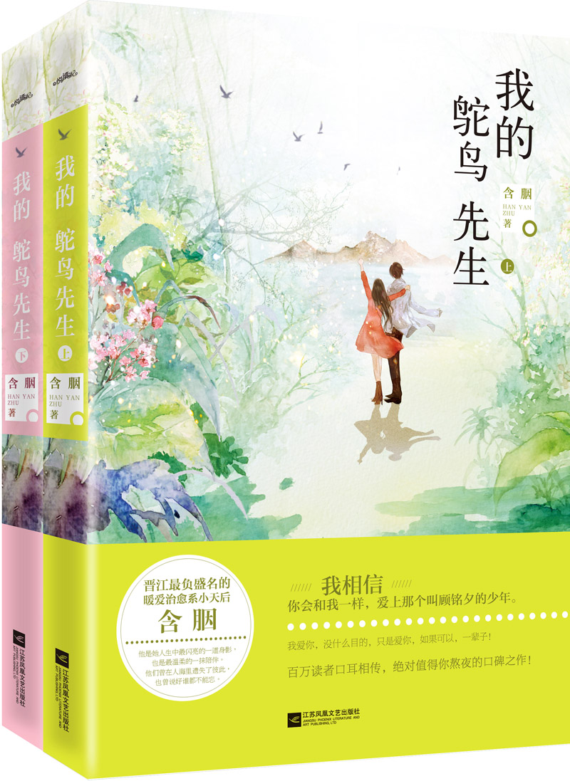 我的鸵鸟先生9787539985350