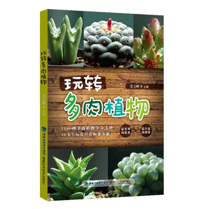 玩转多肉植物