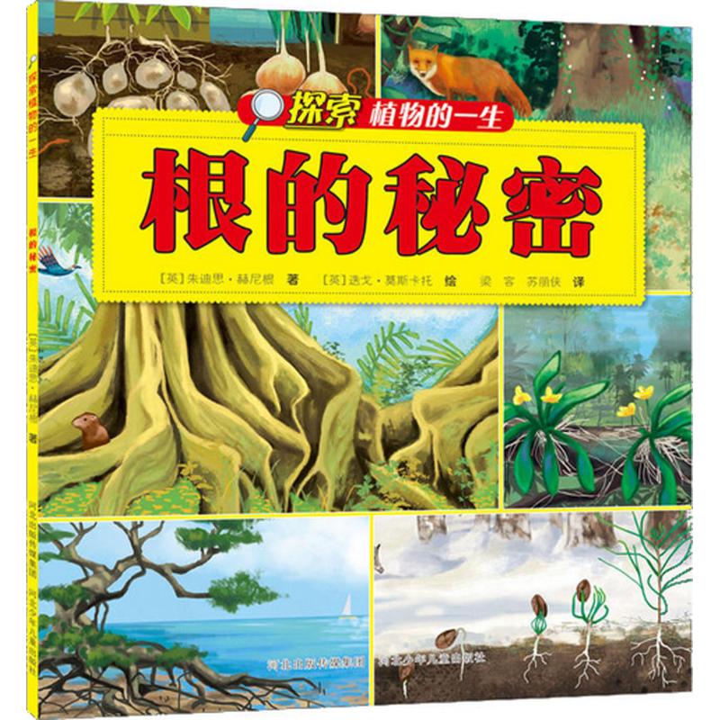 根的秘密 幼儿图书 早教书 故事书 儿童书籍