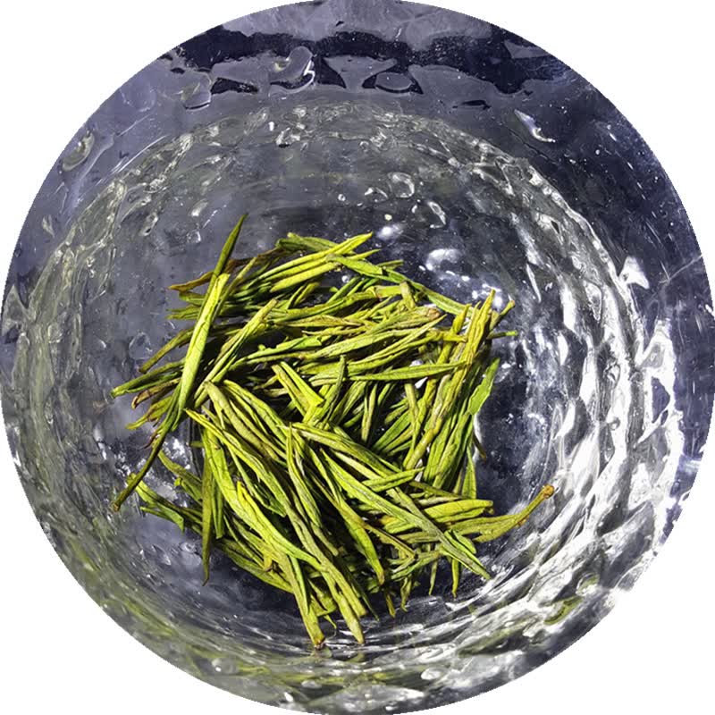 杨头奇文安吉特产白茶茶叶2024年新茶明前特一级春茶珍稀白茶黄金芽奶