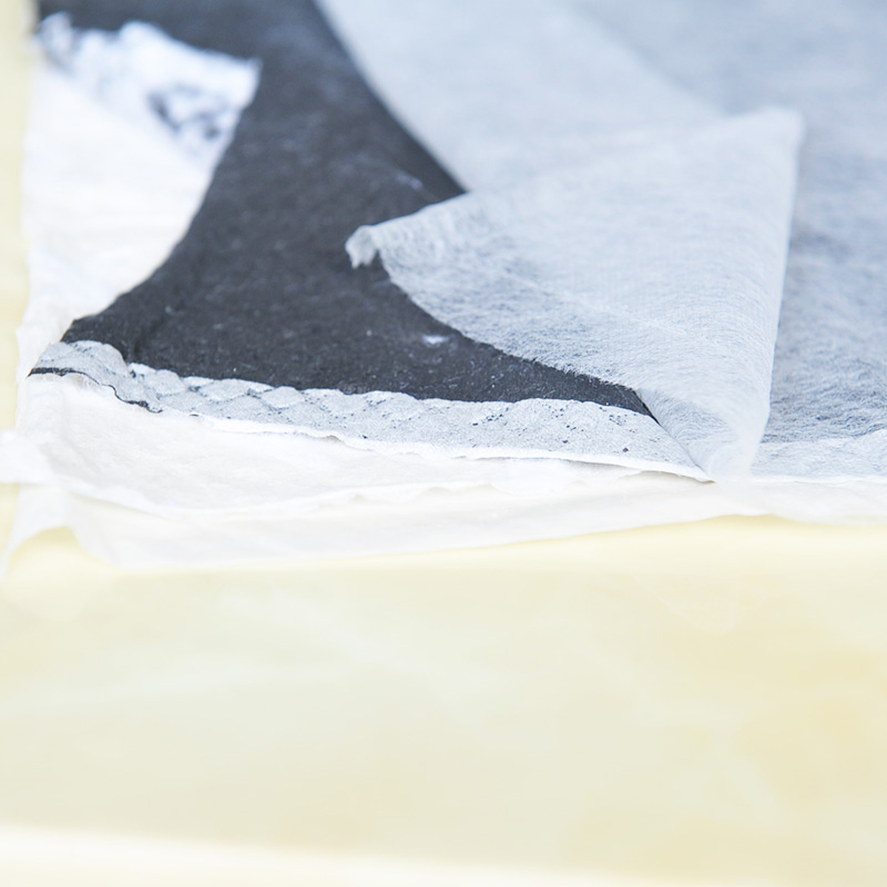 华元宠具（hoopet）宠物碳纸尿片单片装 猫咪尿垫尿布尿片尿不湿 幼猫 尿片单片 小号