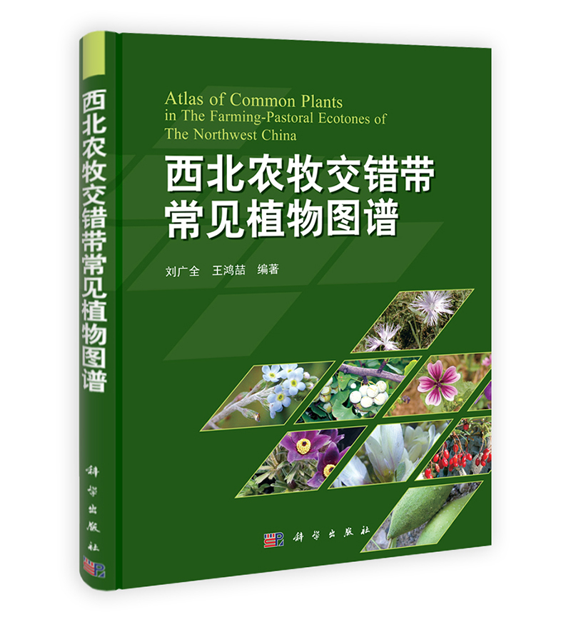 西北农牧交错带常见植物图谱