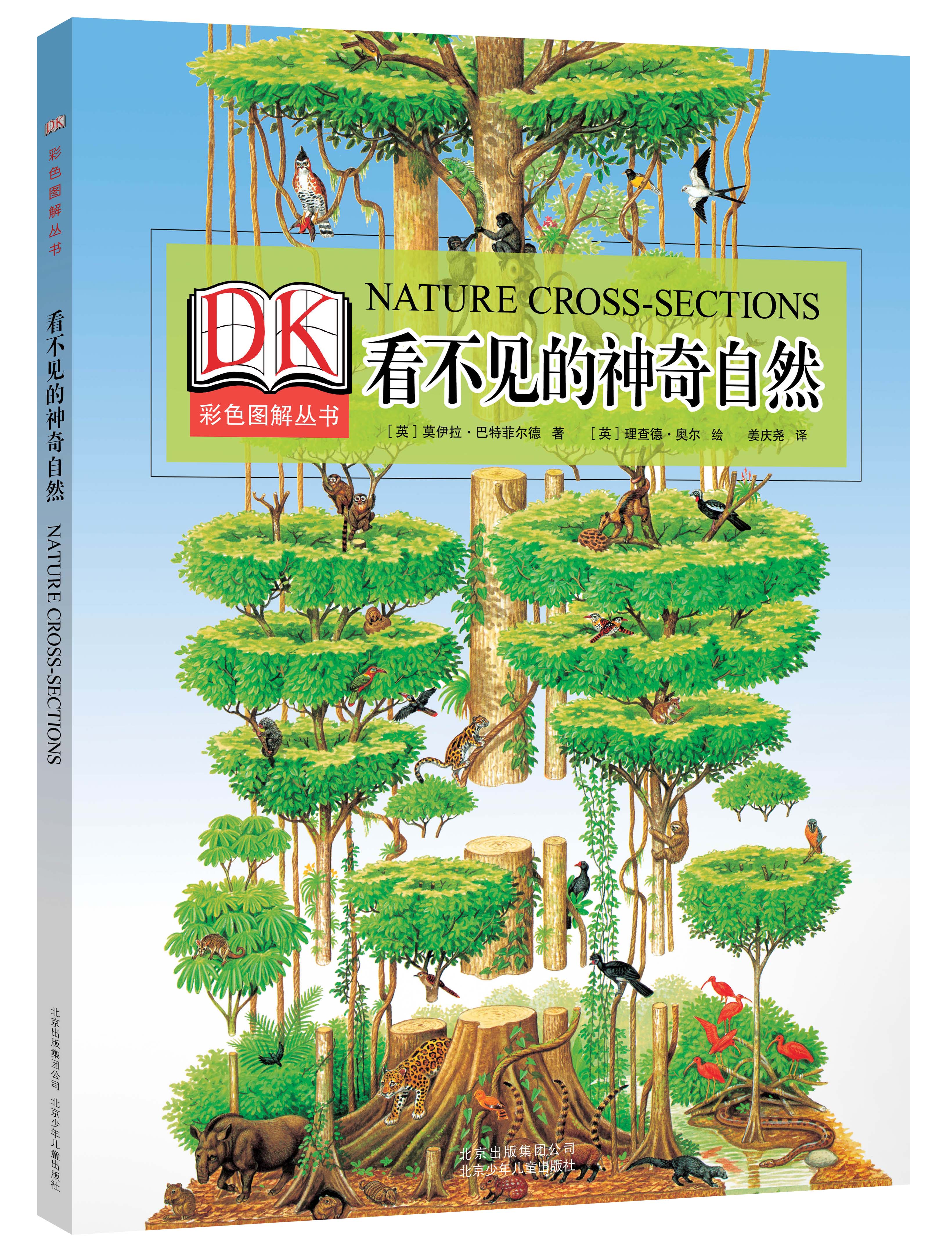 DK看不见的神奇自然