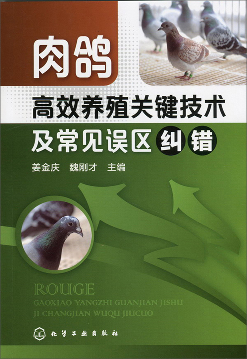 肉鸽高效养殖关键技术及常见误区纠错（实用）