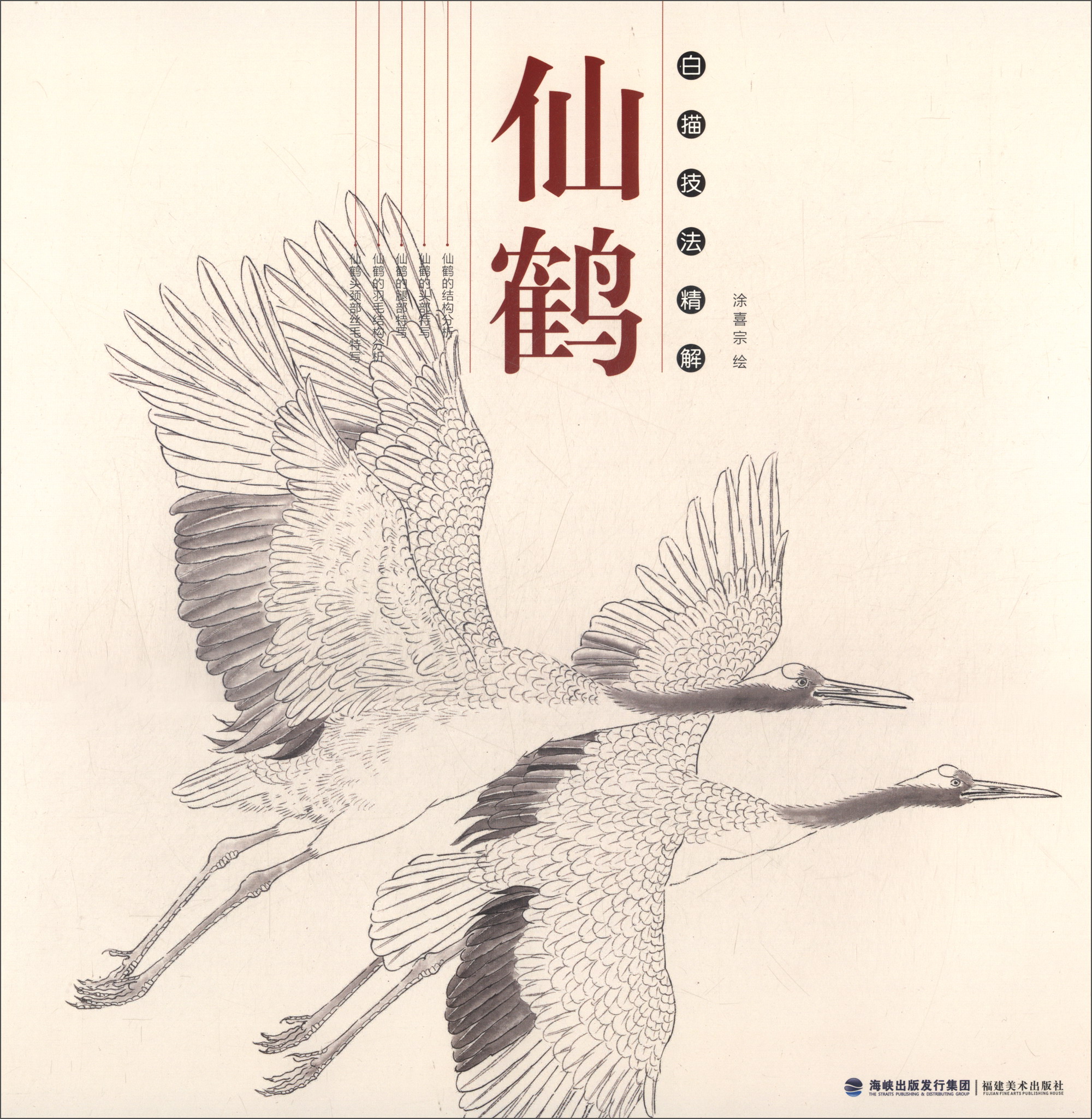 仙鹤/白描技法精解